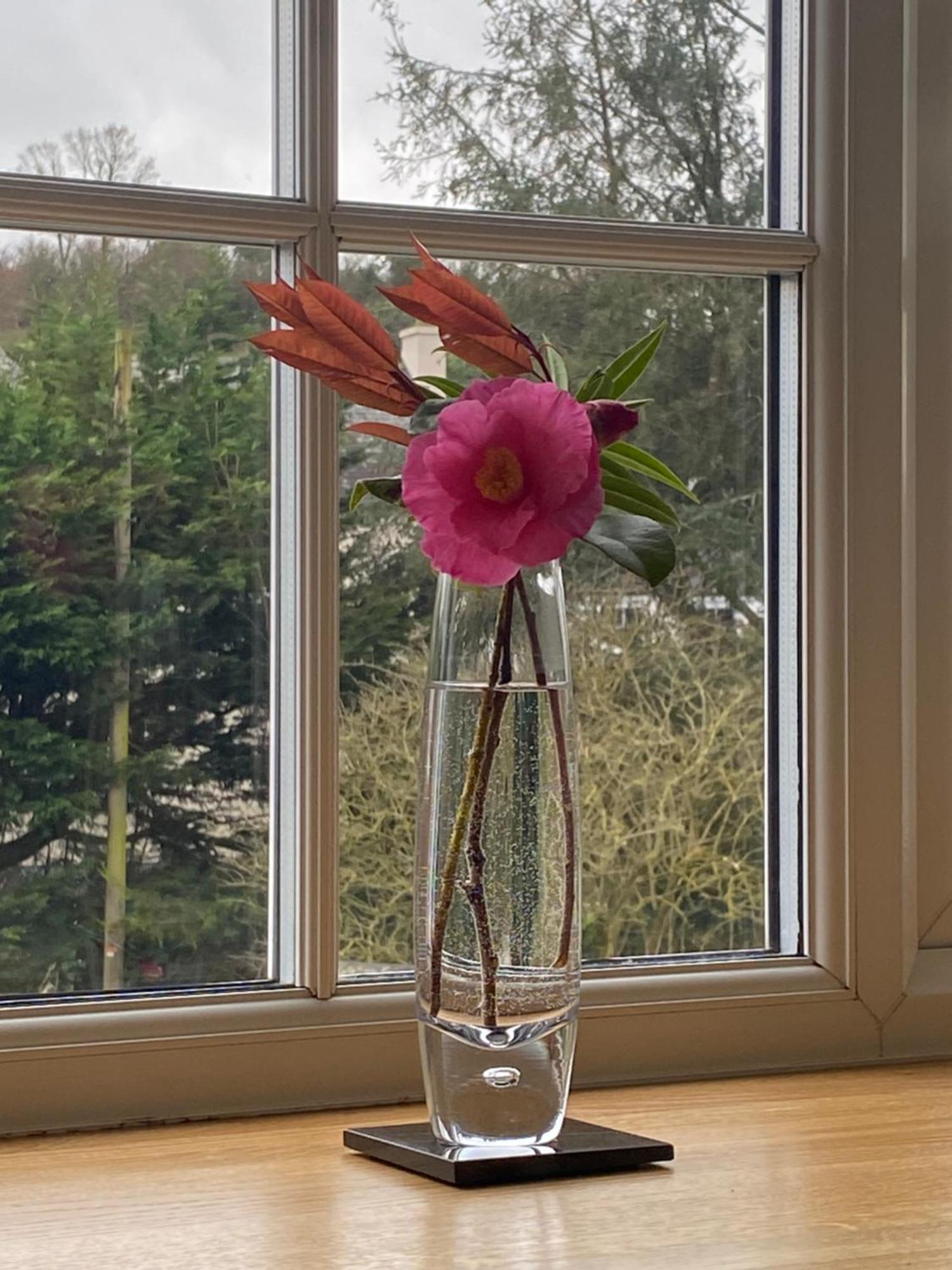 Tregoney Lynwood House Bed And Breakfast المظهر الخارجي الصورة
